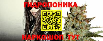спайс Краснознаменск