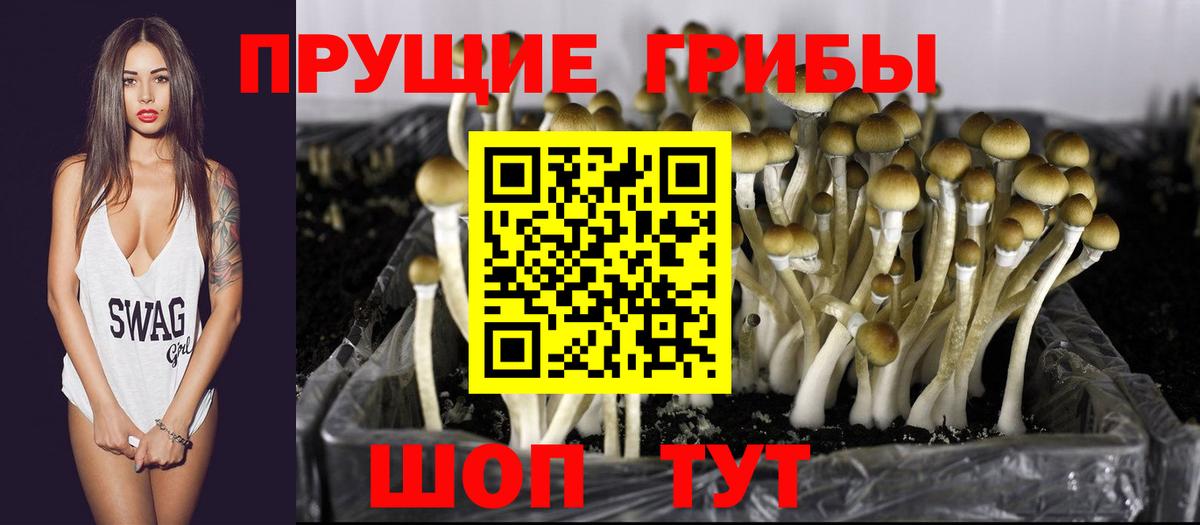 Галлюциногенные грибы MAGIC MUSHROOMS  Вход с VPN  Донецк  наркотики  Галлюциногенные грибы Psilocybe 